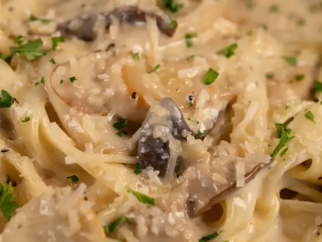 FUNGHI
